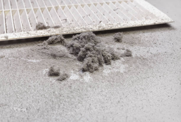 Best Dryer Vent Cleaning Services  in Langhorne Manor, PA